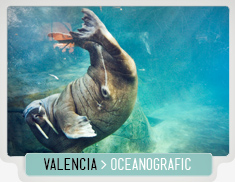 VALENCIA_OCEANOGRAFIC